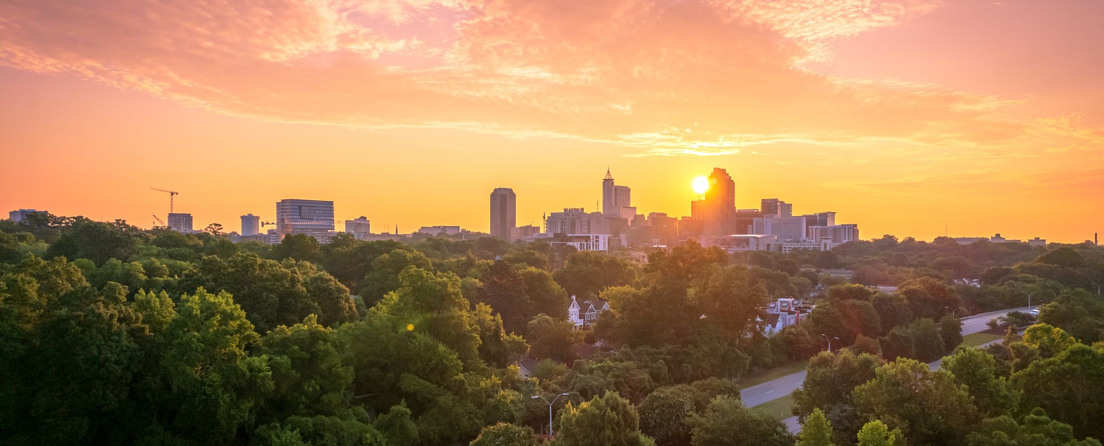Sunrise over the downtown Raleigh skyline above the tree canopy