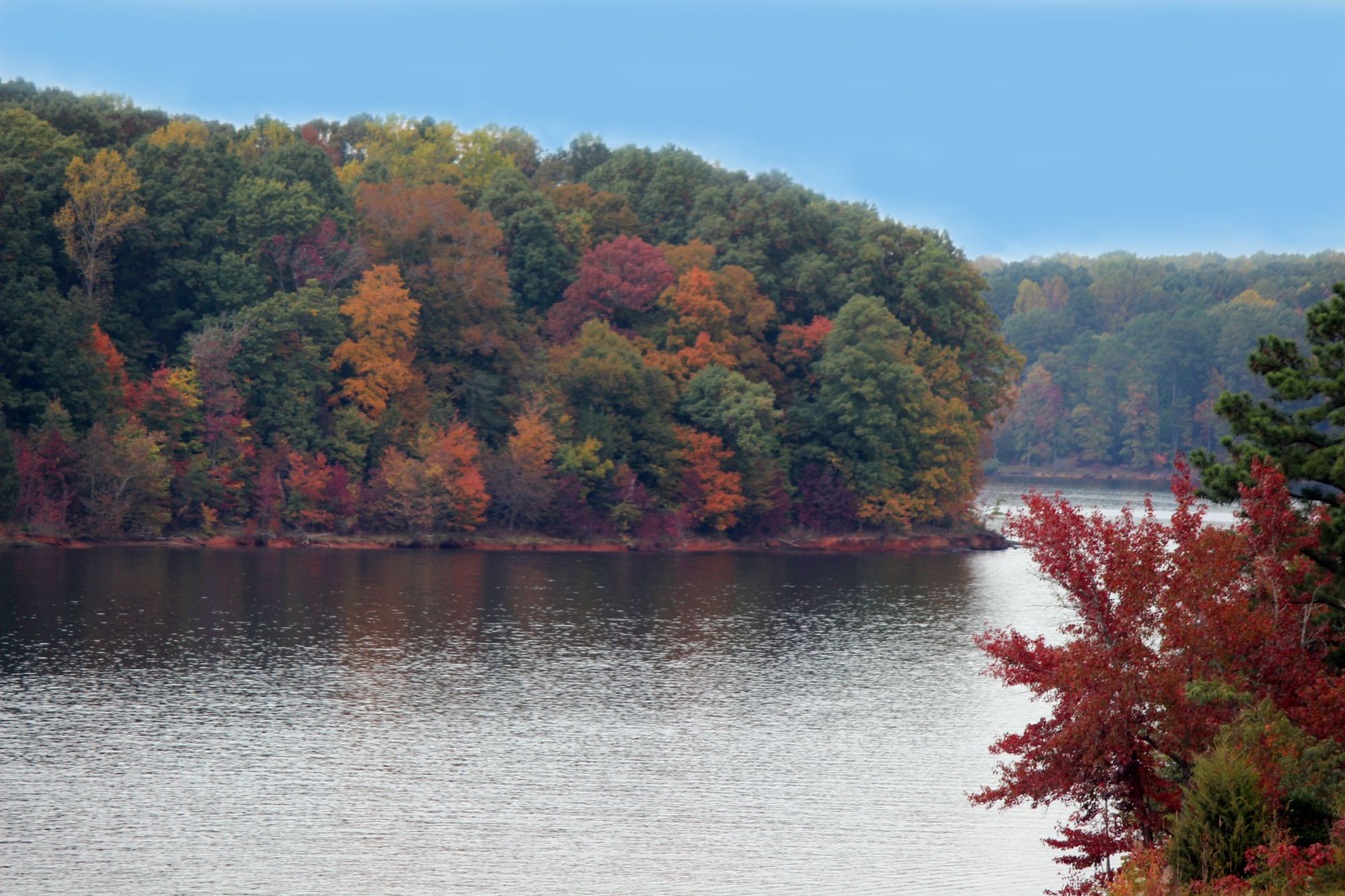 Autumn woods along the water in the North Carolina Triangle